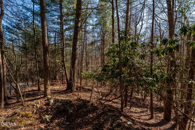 Lot 39 Bear Ridge Drive, Butler, TN 37640