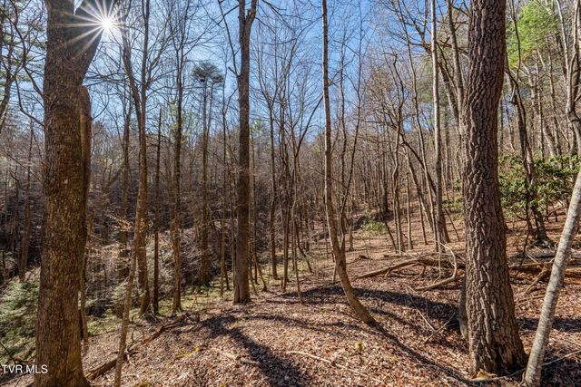Lot 39 Bear Ridge Drive, Butler, TN 37640