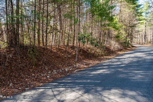 Lot 39 Bear Ridge Drive, Butler, TN 37640