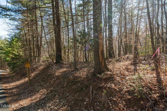 Lot 39 Bear Ridge Drive, Butler, TN 37640