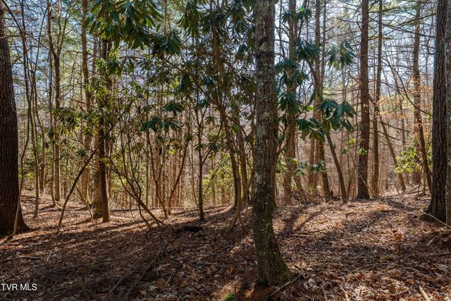 Lot 39 Bear Ridge Drive, Butler, TN 37640