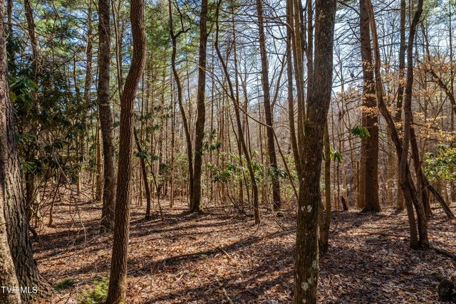 Lot 39 Bear Ridge Drive, Butler, TN 37640
