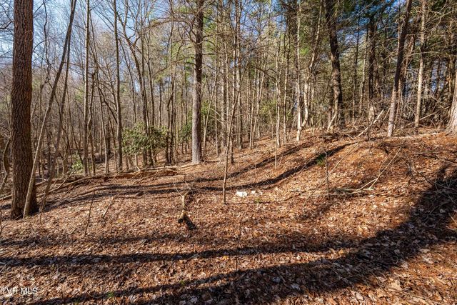 Lot 39 Bear Ridge Drive, Butler, TN 37640