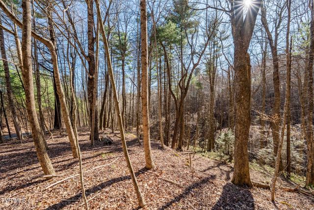 Lot 39 Bear Ridge Drive, Butler, TN 37640
