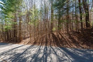 Lot 39 Bear Ridge Drive, Butler, TN 37640
