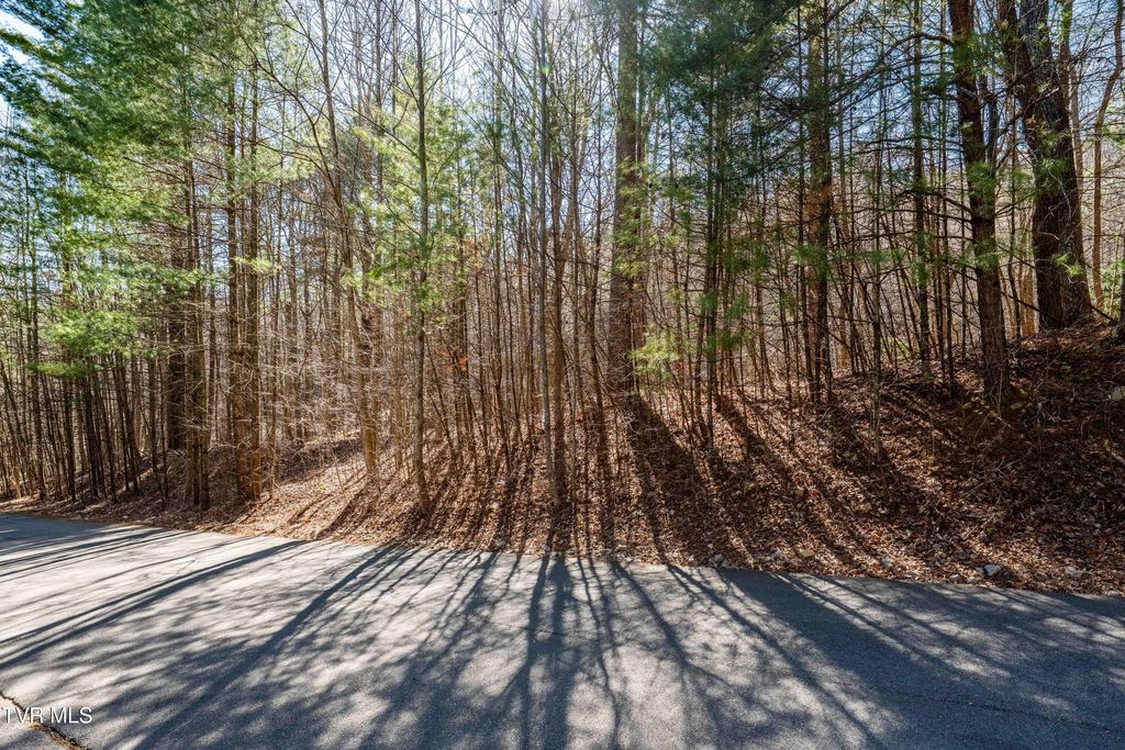 Lot 39 Bear Ridge Drive, Butler, TN 37640