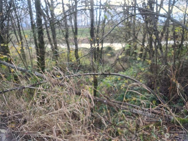 1919 next to Grade Street, Kelso, WA 98626