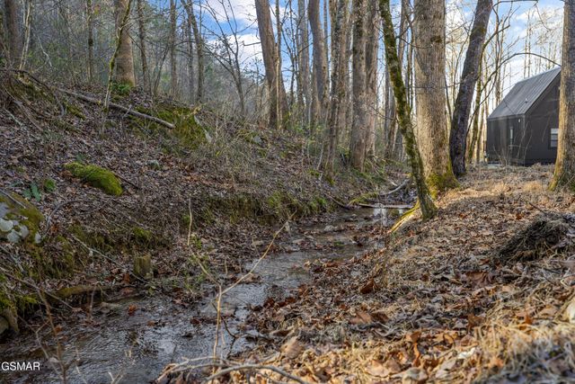 234 Braydens Way, Gatlinburg, TN 37738