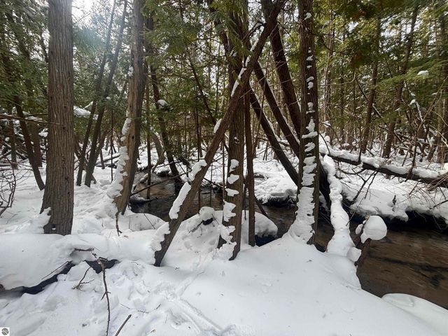 4715 Springbrook Drive, Williamsburg, MI 49690