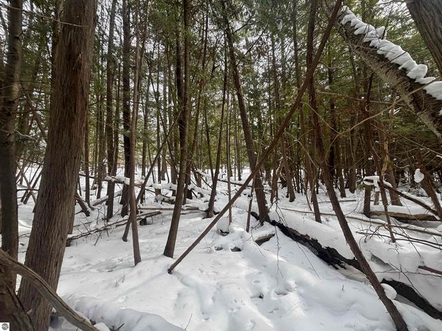 4715 Springbrook Drive, Williamsburg, MI 49690