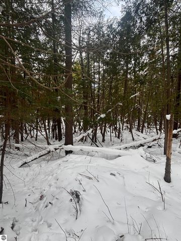 4715 Springbrook Drive, Williamsburg, MI 49690