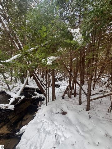 4715 Springbrook Drive, Williamsburg, MI 49690