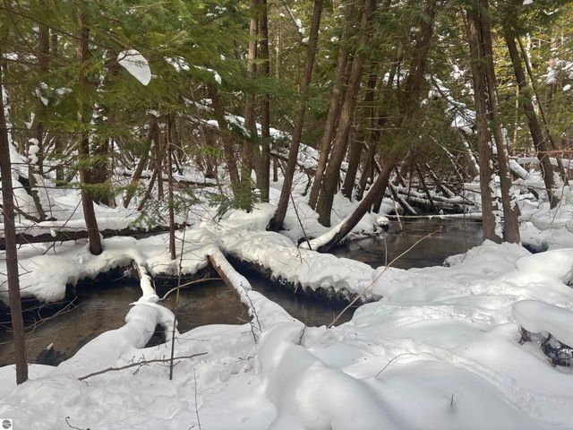 4715 Springbrook Drive, Williamsburg, MI 49690