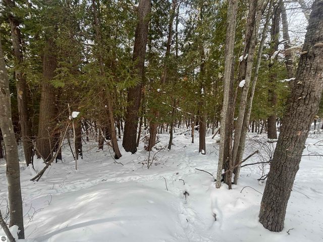 4715 Springbrook Drive, Williamsburg, MI 49690