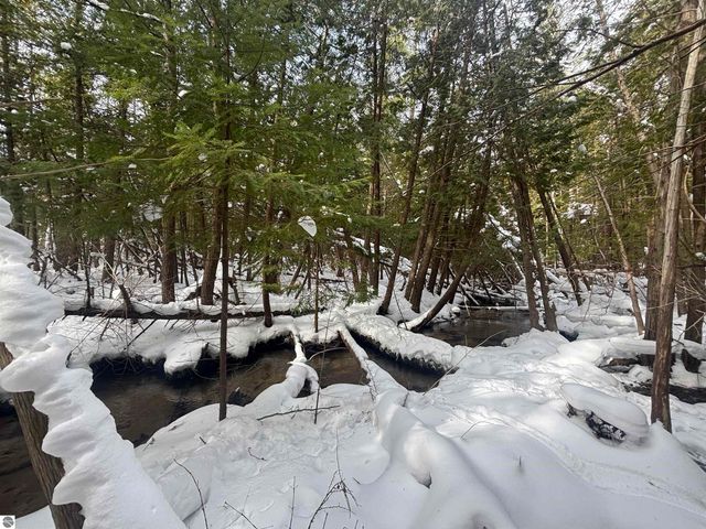 4715 Springbrook Drive, Williamsburg, MI 49690