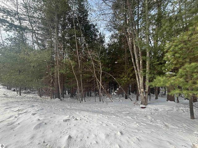 4715 Springbrook Drive, Williamsburg, MI 49690