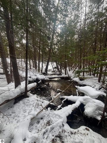 4715 Springbrook Drive, Williamsburg, MI 49690