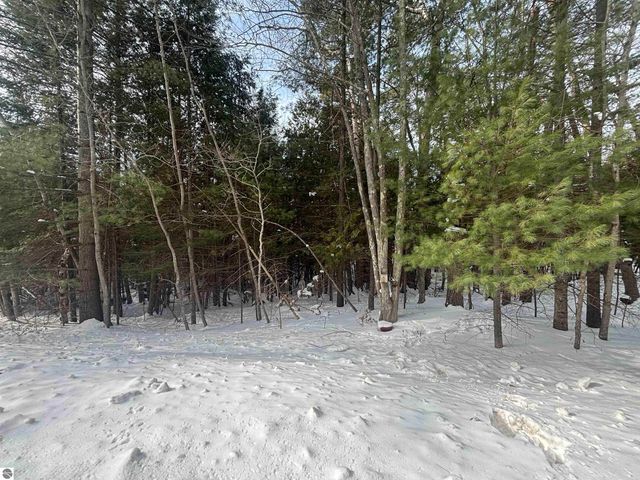 4715 Springbrook Drive, Williamsburg, MI 49690