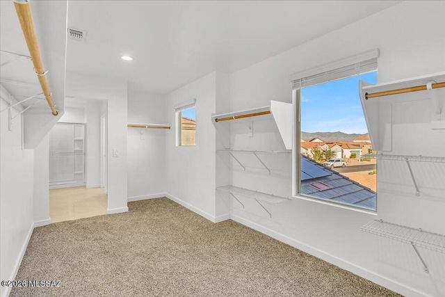 11172 S Weismann Dr, Vail, AZ 85641