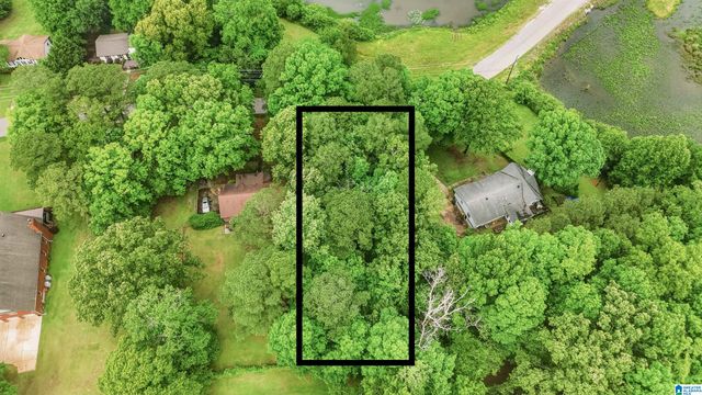 00 ALLISON DRIVE, Lakeview, AL 35111
