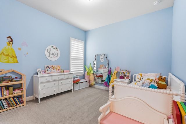 603 Warner Drive, Anna, TX 75409