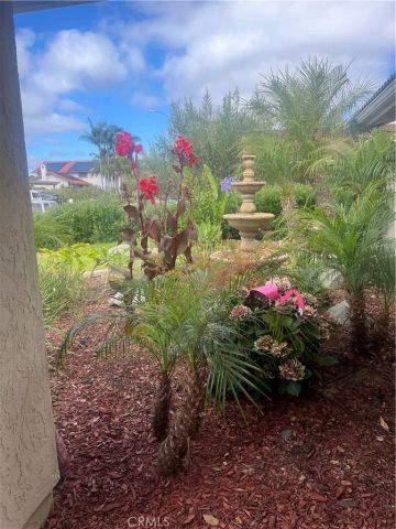 1025 Santa Queta, Solana Beach, CA 92075
