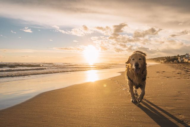 1213 Beach Way Ln., North Myrtle Beach, SC 29582