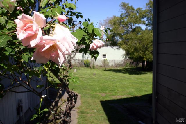 518 Galland St, Petaluma, CA 94952