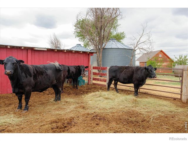 37648 County Road 49, Eaton, CO 80615