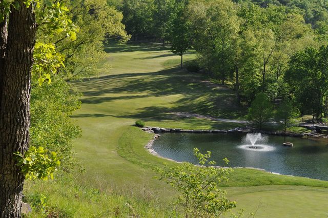 915 Silverbluff Circle, Branson West, MO 65737