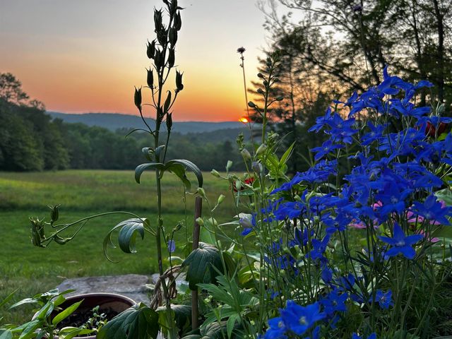 16 Olcott Road, Norwich, VT 05055