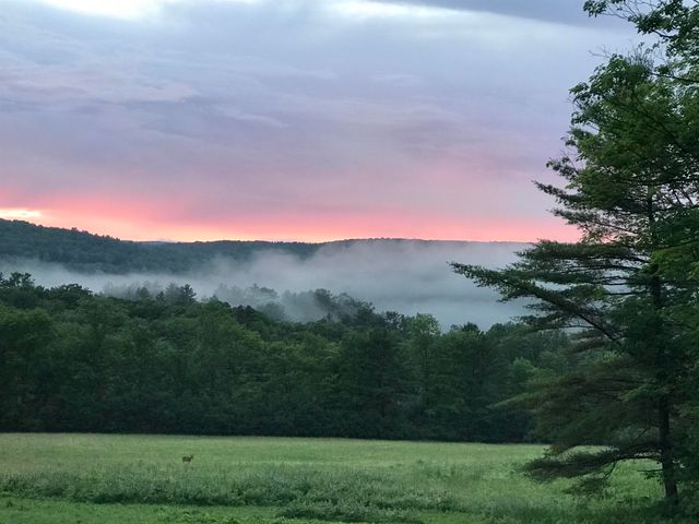 16 Olcott Road, Norwich, VT 05055