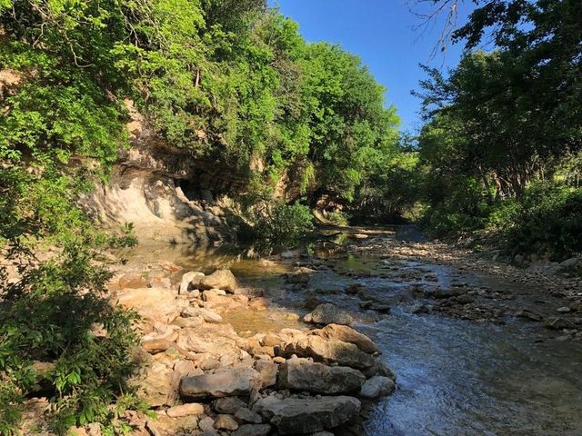 1115 W 31 ST, Austin, TX 78705