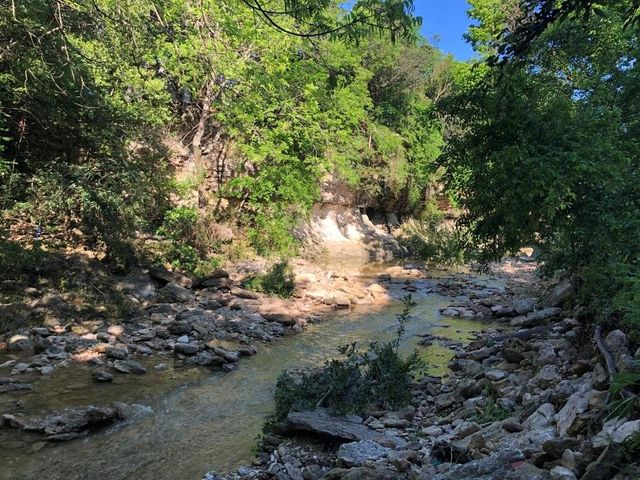 1115 W 31 ST, Austin, TX 78705