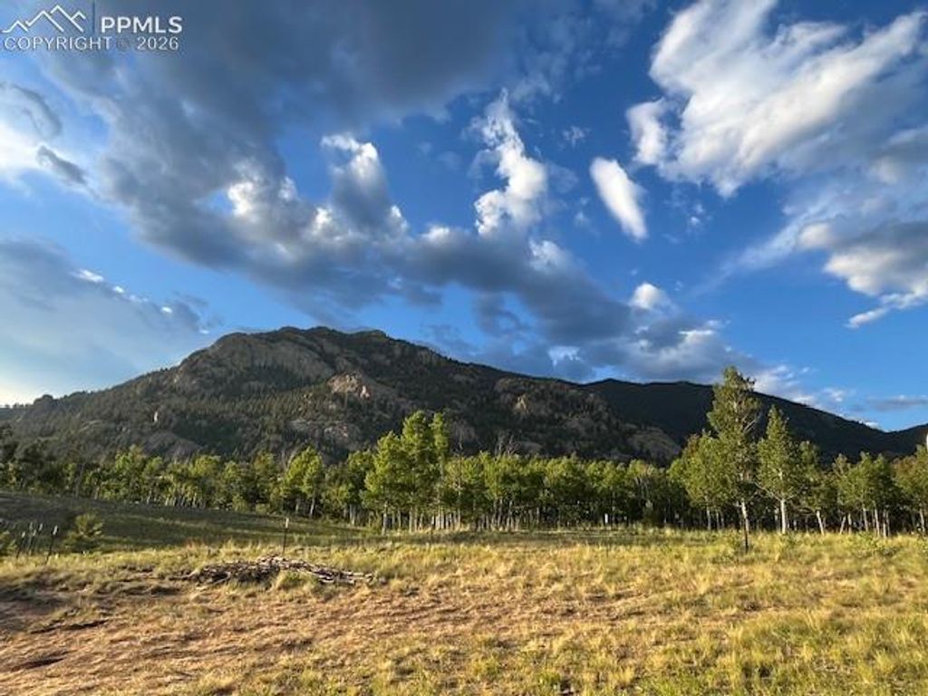 206 Emerald Way, Lake George, CO 80827 — photo 3