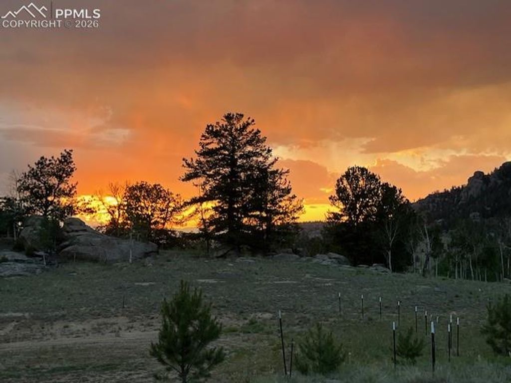 206 Emerald Way, Lake George, CO 80827 — photo 4