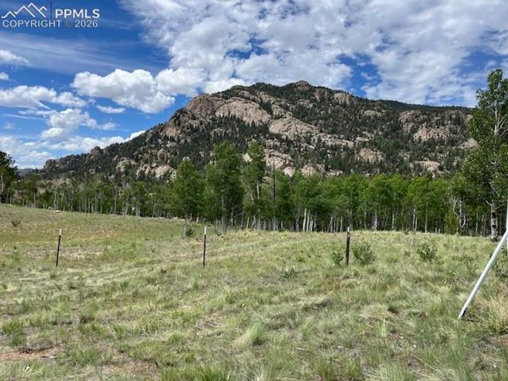 206 Emerald Way, Lake George, CO 80827 — photo 5