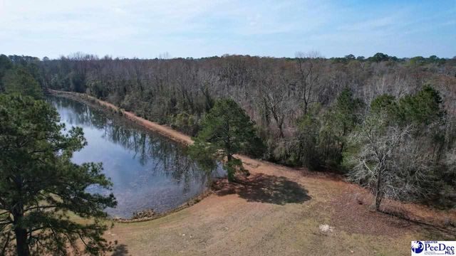 964 Celtic Ln., Lamar, SC 29069