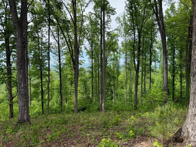 Lot 140 Highland Park, Blairsville, GA 30512