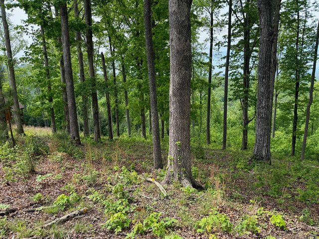 Lot 140 Highland Park, Blairsville, GA 30512