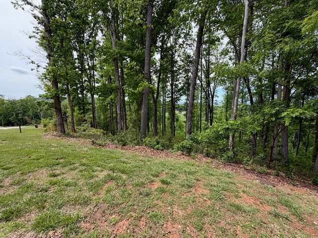 Lot 140 Highland Park, Blairsville, GA 30512