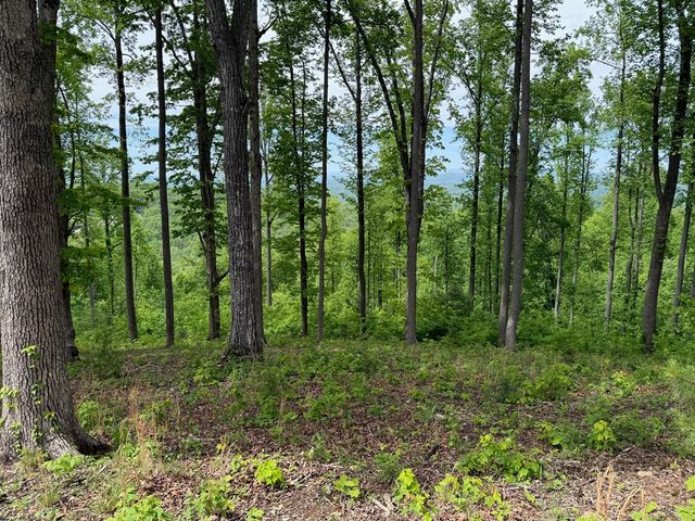 Lot 140 Highland Park, Blairsville, GA 30512