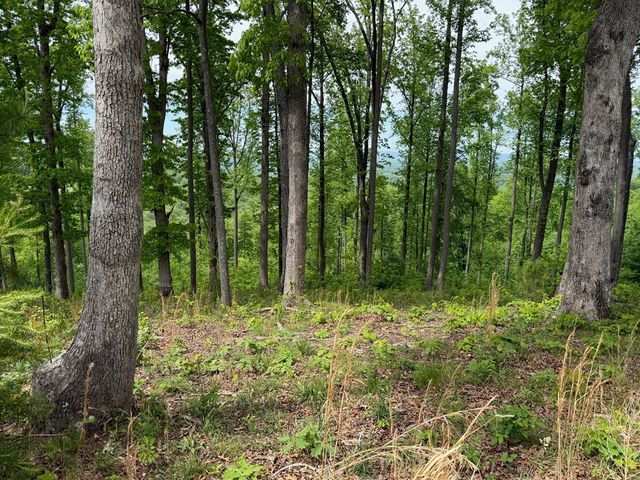 Lot 140 Highland Park, Blairsville, GA 30512