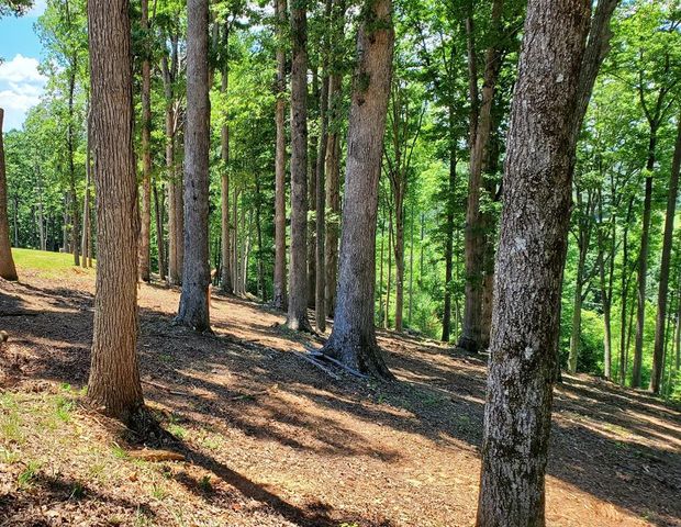 Lot 140 Highland Park, Blairsville, GA 30512