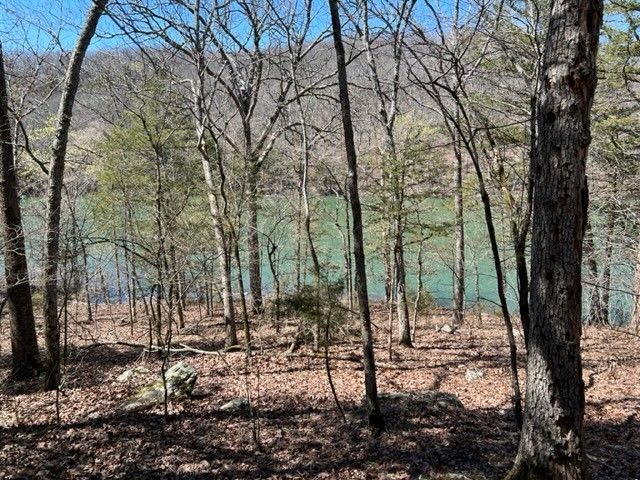 69.25 Acres Slate Gap Road, Garfield, AR 72732