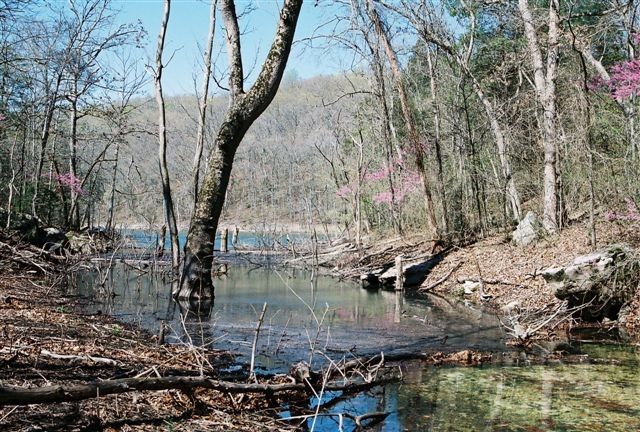 69.25 Acres Slate Gap Road, Garfield, AR 72732