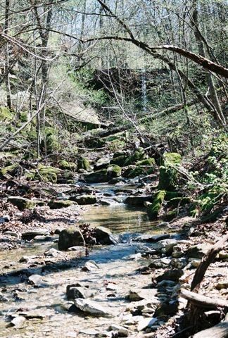 69.25 Acres Slate Gap Road, Garfield, AR 72732