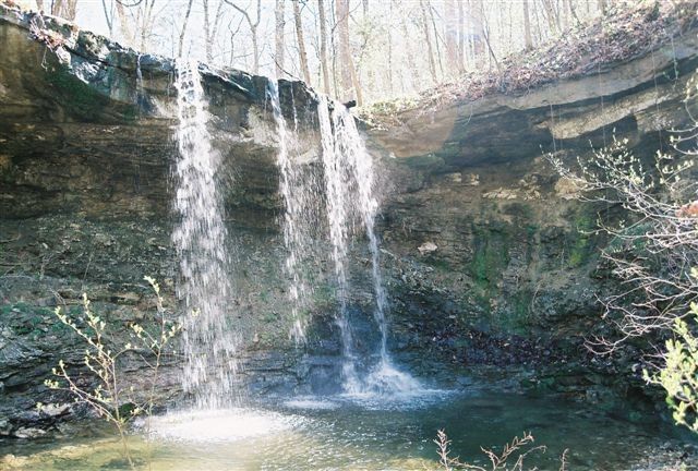 69.25 Acres Slate Gap Road, Garfield, AR 72732