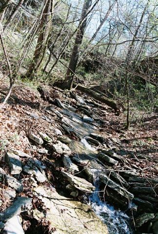 69.25 Acres Slate Gap Road, Garfield, AR 72732