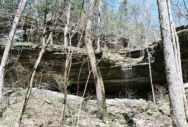 69.25 Acres Slate Gap Road, Garfield, AR 72732